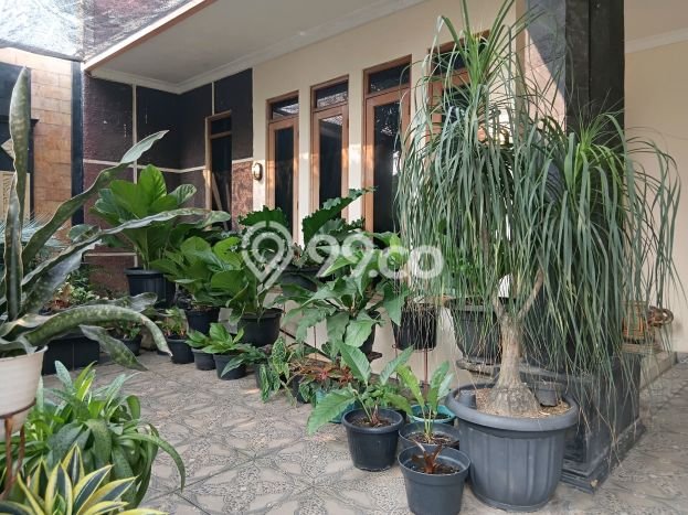 Hunian Super Mewah dengan Akses Paling Strategis di Graha Raya Bintaro, Tangerang Selatan Hunian Super Mewah dengan Akses Paling Strategis di Graha Raya Bintaro, Tangerang Selatan