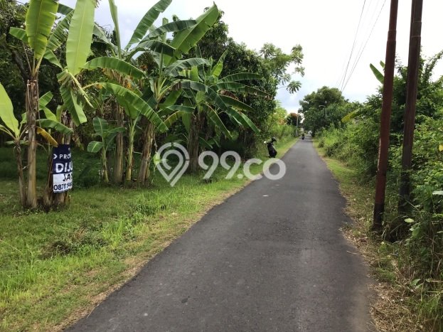 Lahan untuk Dijual Lokasi Buleleng, Buleleng Luas 1500m2 SHM Lahan untuk Dijual Lokasi Buleleng, Buleleng Luas 1500m2 SHM