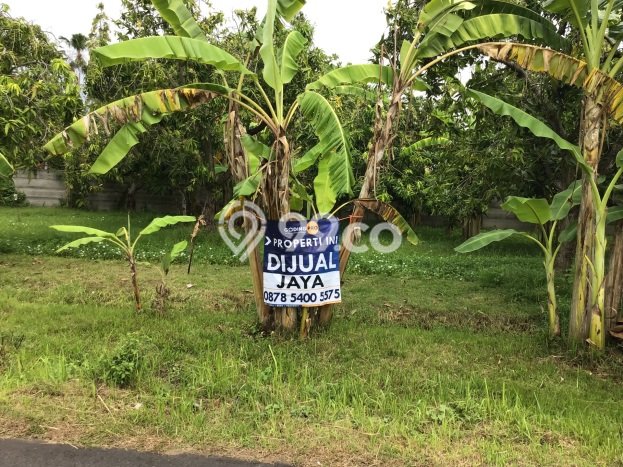 Lahan untuk Dijual Lokasi Buleleng, Buleleng Luas 1500m2 SHM Lahan untuk Dijual Lokasi Buleleng, Buleleng Luas 1500m2 SHM