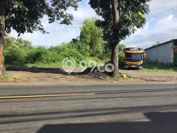 Dijual Tanah 320m2 di Dencarik, Buleleng Dijual Tanah 320m2 di Dencarik, Buleleng