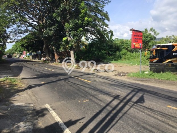 Dijual Tanah 320m2 di Dencarik, Buleleng Dijual Tanah 320m2 di Dencarik, Buleleng