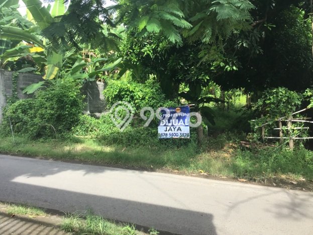 Tanah Komersial Dijual di Buleleng Buleleng 400m2 Tanah Komersial Dijual di Buleleng Buleleng 400m2