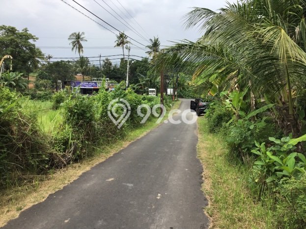 Lahan untuk Dijual Lokasi Buleleng, Buleleng Luas 1500m2 SHM Lahan untuk Dijual Lokasi Buleleng, Buleleng Luas 1500m2 SHM