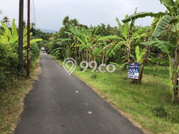 Lahan untuk Dijual Lokasi Buleleng, Buleleng Luas 1500m2 SHM Lahan untuk Dijual Lokasi Buleleng, Buleleng Luas 1500m2 SHM