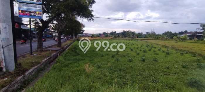 Lahan Kosong Dijual di Buleleng, Buleleng, Luas 5300m2 Area Strategis Lahan Kosong Dijual di Buleleng, Buleleng, Luas 5300m2 Area Strategis