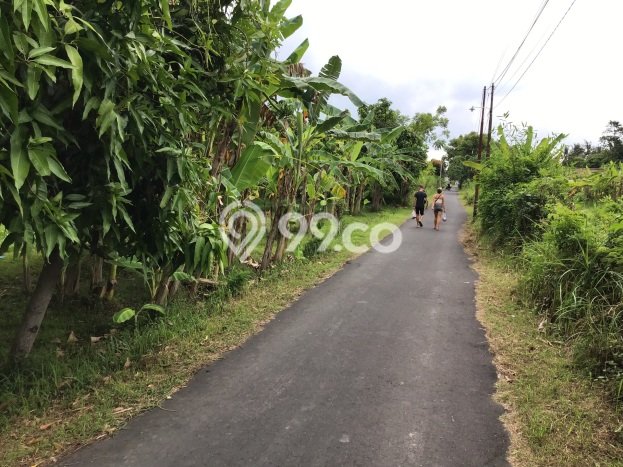 Lahan untuk Dijual Lokasi Buleleng, Buleleng Luas 1500m2 SHM Lahan untuk Dijual Lokasi Buleleng, Buleleng Luas 1500m2 SHM