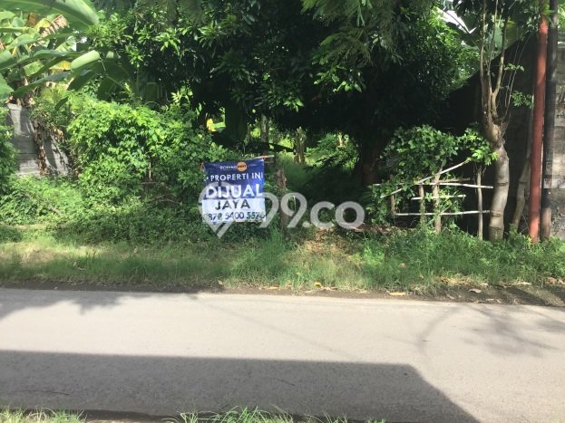 Tanah Komersial Dijual di Buleleng Buleleng 400m2 Tanah Komersial Dijual di Buleleng Buleleng 400m2