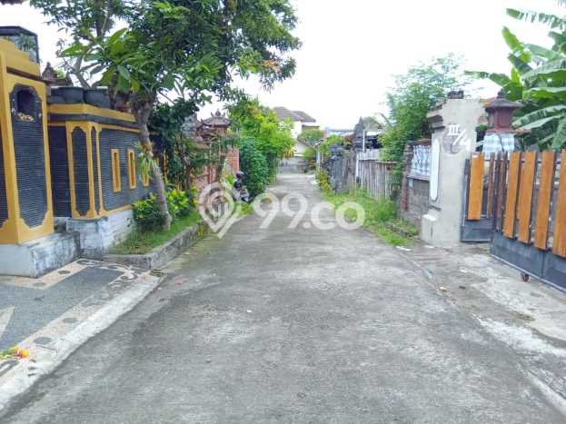 Kavling Tanah Dijual di Buleleng Buleleng Spesifikasi 225m2 Kavling Tanah Dijual di Buleleng Buleleng Spesifikasi 225m2