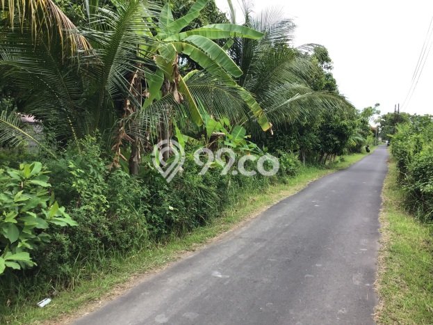 Lahan untuk Dijual Lokasi Buleleng, Buleleng Luas 1500m2 SHM Lahan untuk Dijual Lokasi Buleleng, Buleleng Luas 1500m2 SHM