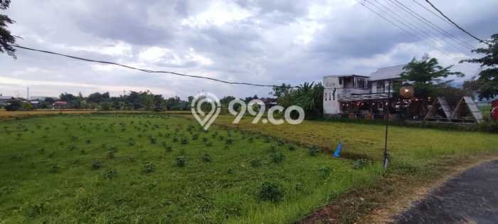 Lahan Kosong Dijual di Buleleng, Buleleng, Luas 5300m2 Area Strategis Lahan Kosong Dijual di Buleleng, Buleleng, Luas 5300m2 Area Strategis