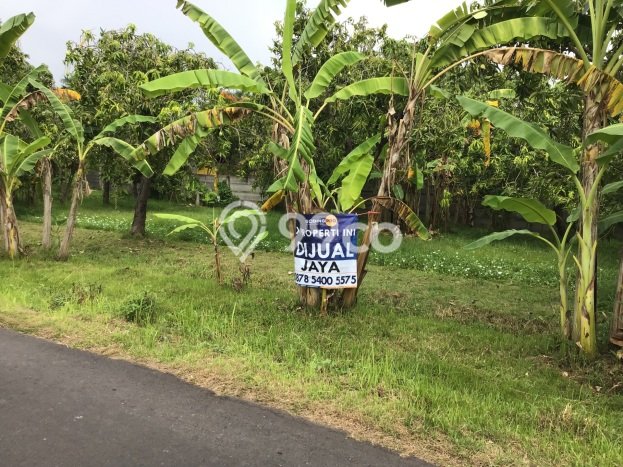 Lahan untuk Dijual Lokasi Buleleng, Buleleng Luas 1500m2 SHM Lahan untuk Dijual Lokasi Buleleng, Buleleng Luas 1500m2 SHM