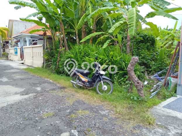 Kavling Tanah Dijual di Buleleng Buleleng Spesifikasi 200m2 Kavling Tanah Dijual di Buleleng Buleleng Spesifikasi 200m2