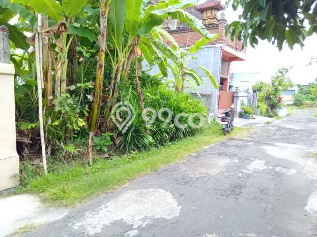 Kavling Tanah Dijual di Buleleng Buleleng Spesifikasi 200m2 Kavling Tanah Dijual di Buleleng Buleleng Spesifikasi 200m2