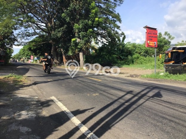 Dijual Tanah 320m2 di Dencarik, Buleleng Dijual Tanah 320m2 di Dencarik, Buleleng