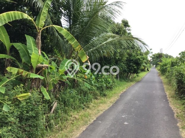 Lahan untuk Dijual Lokasi Buleleng, Buleleng Luas 1500m2 SHM Lahan untuk Dijual Lokasi Buleleng, Buleleng Luas 1500m2 SHM