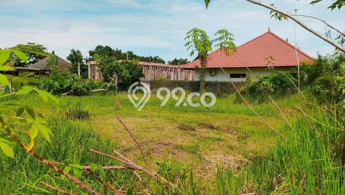 Tanah Dijual di Buleleng Seluas 1296m2 Strategis Tanah Dijual di Buleleng Seluas 1296m2 Strategis