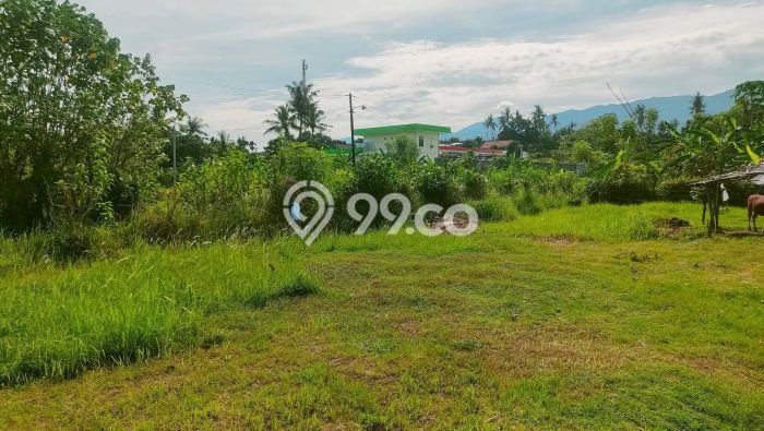 Tanah Dijual di Buleleng Seluas 1296m2 Strategis Tanah Dijual di Buleleng Seluas 1296m2 Strategis