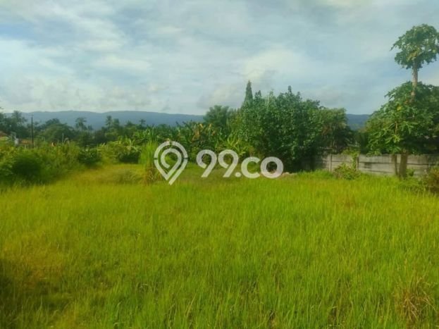 Tanah Dijual di Buleleng Seluas 1296m2 Strategis Tanah Dijual di Buleleng Seluas 1296m2 Strategis