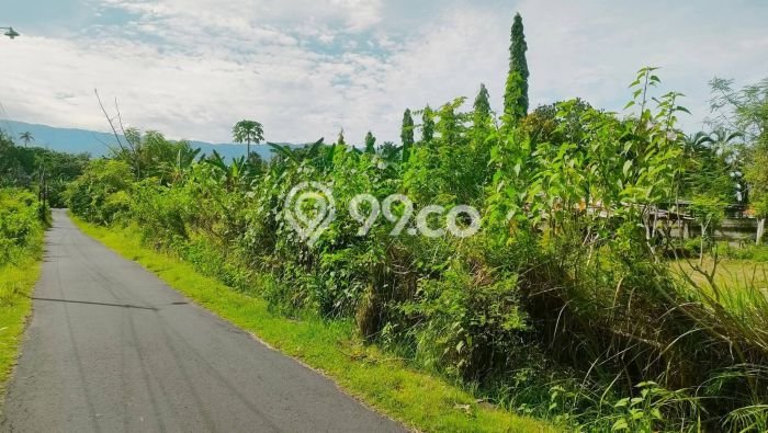 Tanah Dijual di Buleleng Seluas 1296m2 Strategis Tanah Dijual di Buleleng Seluas 1296m2 Strategis