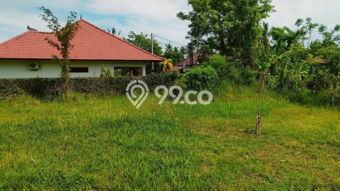 Tanah Dijual di Buleleng Seluas 1296m2 Strategis Tanah Dijual di Buleleng Seluas 1296m2 Strategis