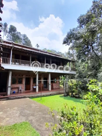 Rumah Eksklusif Siap Huni LT 8075m2 di Megamendung, Bogor Rumah Eksklusif Siap Huni LT 8075m2 di Megamendung, Bogor