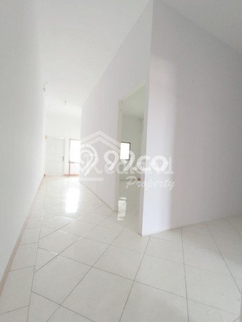 Disewakan Ruko Premium Kawasan Tembalang, Luas 174m², Jalan Utama Disewakan Ruko Premium Kawasan Tembalang, Luas 174m², Jalan Utama