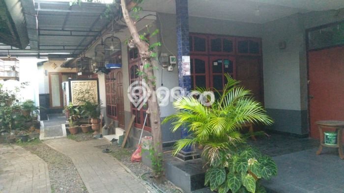 Rumah Luxury Modern Siap Huni di Dauhpuri Kangin Denpasar Rumah Luxury Modern Siap Huni di Dauhpuri Kangin Denpasar