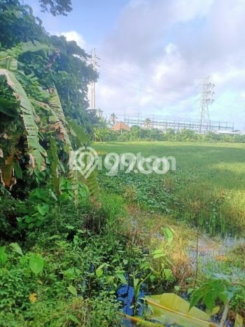 Tanah Dijual Area Strategis di Pemecutan Kelod Denpasar 30900m2 Tanah Dijual Area Strategis di Pemecutan Kelod Denpasar 30900m2