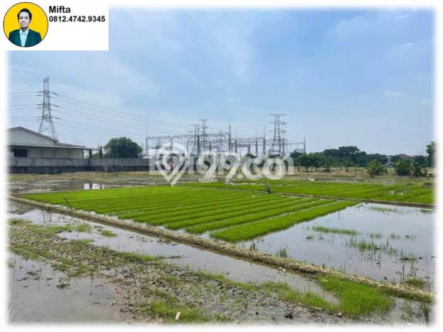 Kavling Tanah di Medan Satria Dijual Luas 60000m2 Legalitas SHM Kavling Tanah di Medan Satria Dijual Luas 60000m2 Legalitas SHM