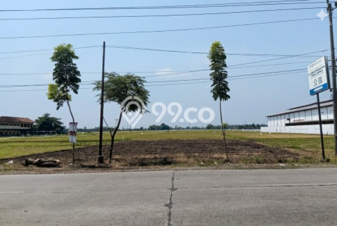 Tanah Dijual Lokasi Pati, Pati dengan Luas Tanah 20000m2 dan Status SHM Tanah Dijual Lokasi Pati, Pati dengan Luas Tanah 20000m2 dan Status SHM