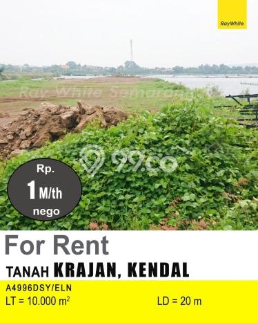 Disewakan Tanah di Kendal Kendal Seluas 10000m2 Disewakan Tanah di Kendal Kendal Seluas 10000m2