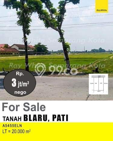 Tanah Dijual Lokasi Pati, Pati dengan Luas Tanah 20000m2 dan Status SHM Tanah Dijual Lokasi Pati, Pati dengan Luas Tanah 20000m2 dan Status SHM