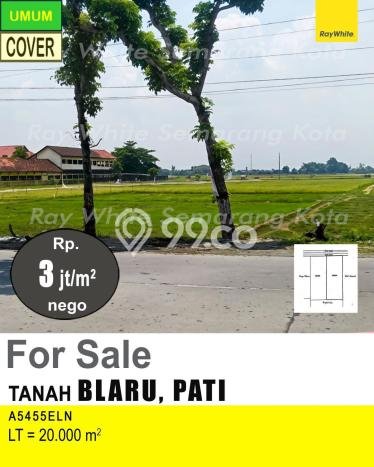 Tanah Dijual Lokasi Pati, Pati dengan Luas Tanah 20000m2 dan Status SHM Tanah Dijual Lokasi Pati, Pati dengan Luas Tanah 20000m2 dan Status SHM