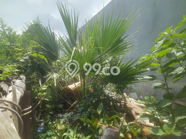 Lahan Kosong Dijual di Duren Sawit, Jakarta Timur, Luas 176m2 Area Strategis Lahan Kosong Dijual di Duren Sawit, Jakarta Timur, Luas 176m2 Area Strategis