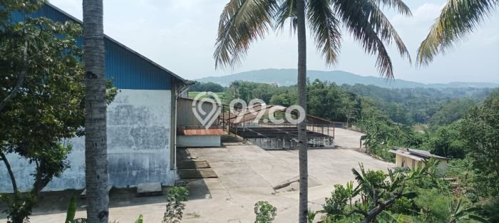 Gudang Disewakan Kawasan Bogor Barat, Luas 6200m2m², Area Strategis Gudang Disewakan Kawasan Bogor Barat, Luas 6200m2m², Area Strategis