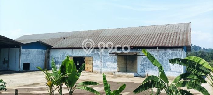 Gudang Disewakan Kawasan Bogor Barat, Luas 6200m2m², Area Strategis Gudang Disewakan Kawasan Bogor Barat, Luas 6200m2m², Area Strategis