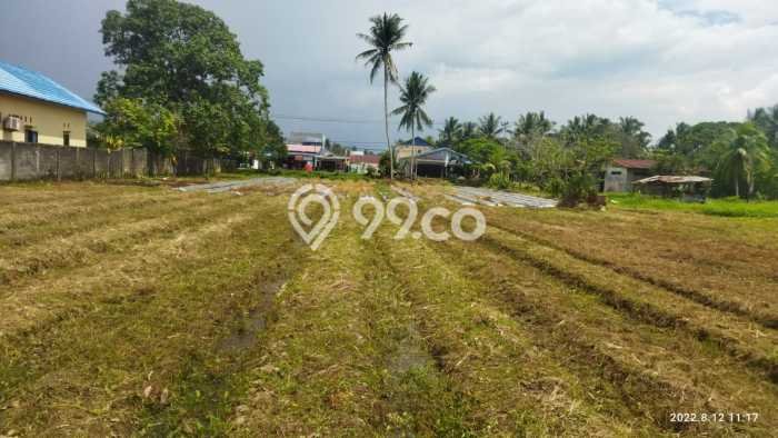 Dijual Tanah Kawasan Teritip, Luas 2880m², Lokasi Strategis, Kontur Rata Dijual Tanah Kawasan Teritip, Luas 2880m², Lokasi Strategis, Kontur Rata