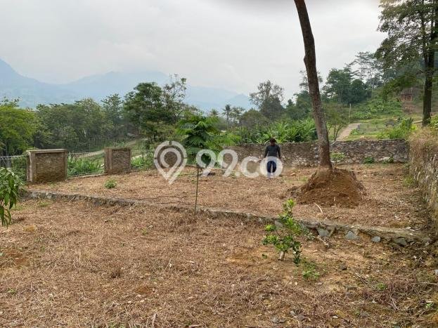 Kavling Tanah Dijual di Tanjungsari Bogor Spesifikasi 300m2 Kavling Tanah Dijual di Tanjungsari Bogor Spesifikasi 300m2