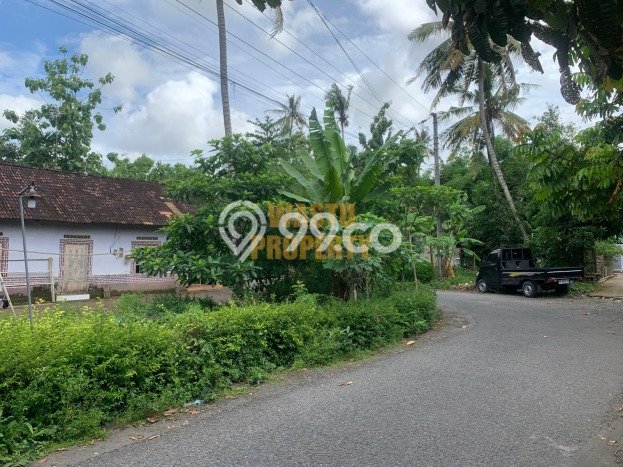 Tanah Luas Murah di Pajangan, Bantul, SHM Pekarangan Tanah Luas Murah di Pajangan, Bantul, SHM Pekarangan
