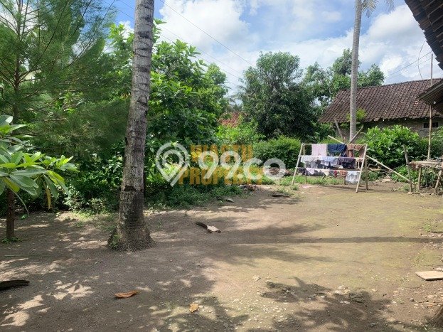 Tanah Luas Murah di Pajangan, Bantul, SHM Pekarangan Tanah Luas Murah di Pajangan, Bantul, SHM Pekarangan