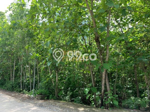 Tanah Premium di Pajangan, Luas 850m², Ideal untuk Perumahan Tanah Premium di Pajangan, Luas 850m², Ideal untuk Perumahan