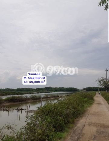 Tanah Kawasan , Luas 38909m2m², Akses Jalan Raya Tanah Kawasan , Luas 38909m2m², Akses Jalan Raya