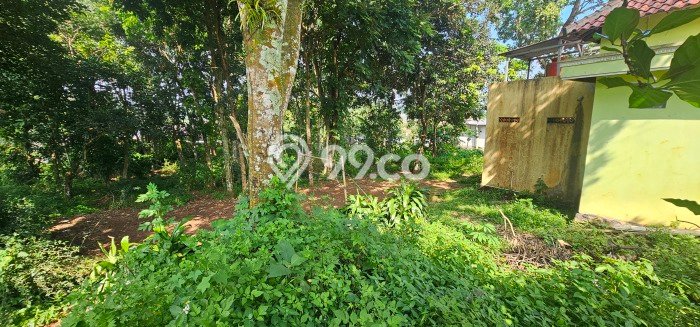 Tanah di Ungaran Timur, Semarang Luas 1737m2 Dijual Segera Tanah di Ungaran Timur, Semarang Luas 1737m2 Dijual Segera