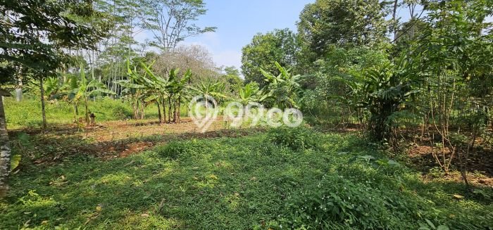 Untuk Dijual Tanah di Gunung Pati Semarang Luas 450m2 SHM Untuk Dijual Tanah di Gunung Pati Semarang Luas 450m2 SHM