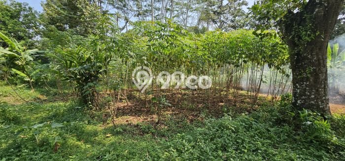 Untuk Dijual Tanah di Gunung Pati Semarang Luas 450m2 SHM Untuk Dijual Tanah di Gunung Pati Semarang Luas 450m2 SHM