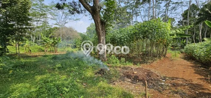 Untuk Dijual Tanah di Gunung Pati Semarang Luas 450m2 SHM Untuk Dijual Tanah di Gunung Pati Semarang Luas 450m2 SHM