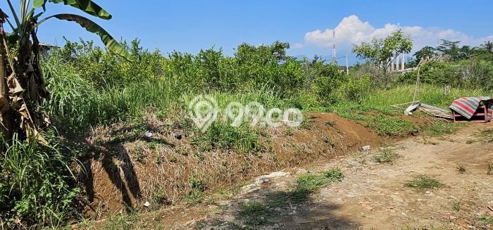 Kavling Tanah di Gunung Pati Dijual Luas 10639m2 Legalitas SHM Kavling Tanah di Gunung Pati Dijual Luas 10639m2 Legalitas SHM