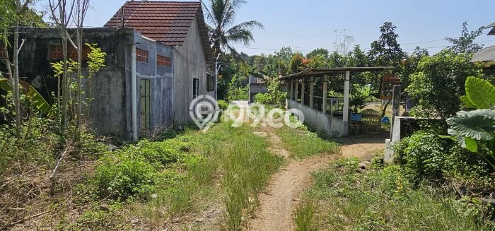 Kavling Tanah di Gunung Pati Dijual Luas 10639m2 Legalitas SHM Kavling Tanah di Gunung Pati Dijual Luas 10639m2 Legalitas SHM