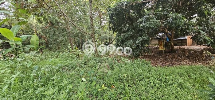 LOKASI STRATEGIS! Tanah di Gunung Pati, Luas 1009m², Kawasan Berkembang, Cocok untuk Hunian LOKASI STRATEGIS! Tanah di Gunung Pati, Luas 1009m², Kawasan Berkembang, Cocok untuk Hunian