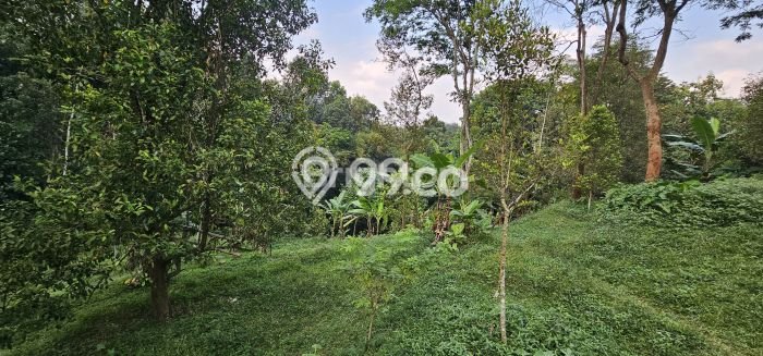 Tanah Dijual Lokasi Ungaran Barat Semarang SHM Tanah Dijual Lokasi Ungaran Barat Semarang SHM